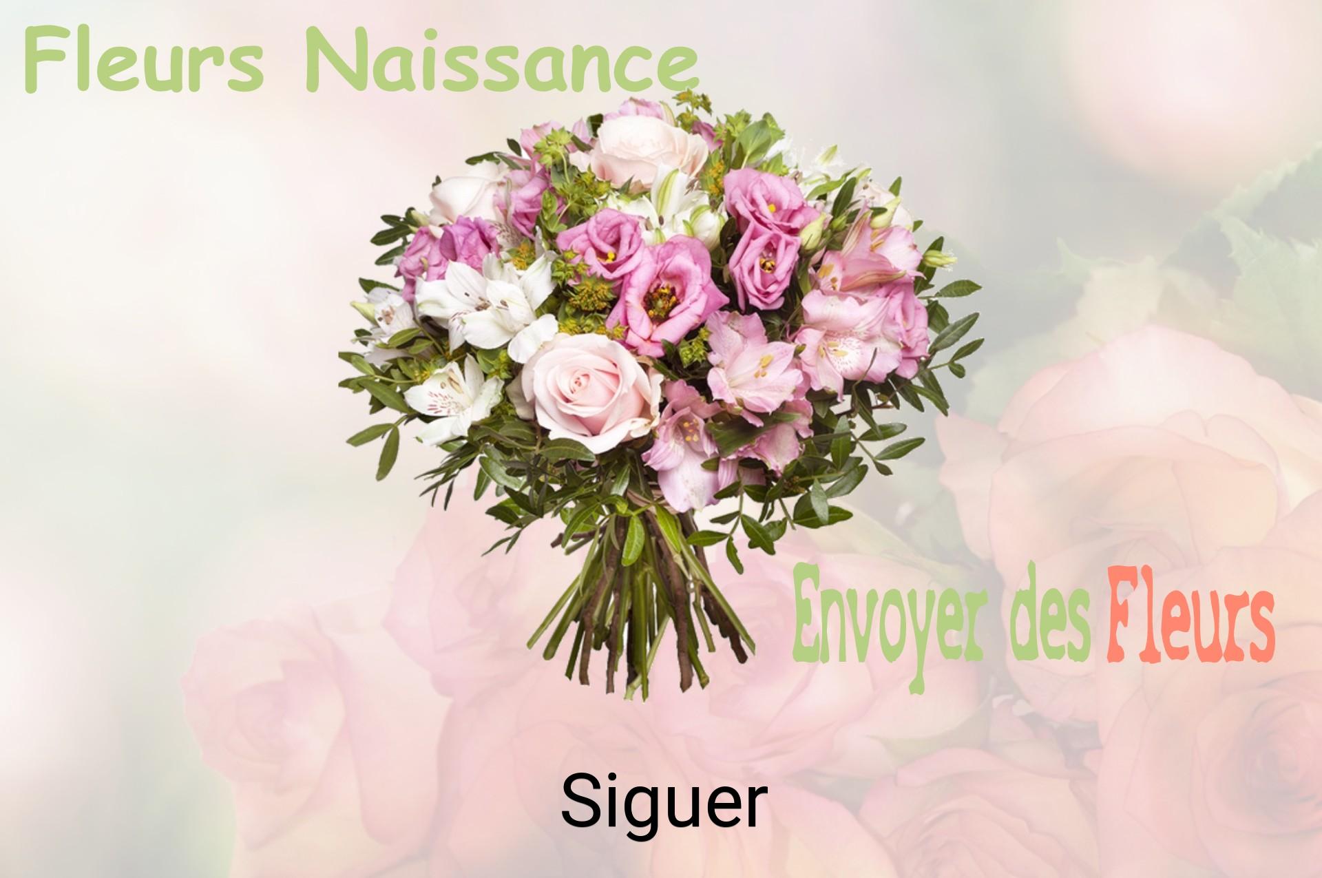Bouquet de fleurs de naissance livré à Siguer